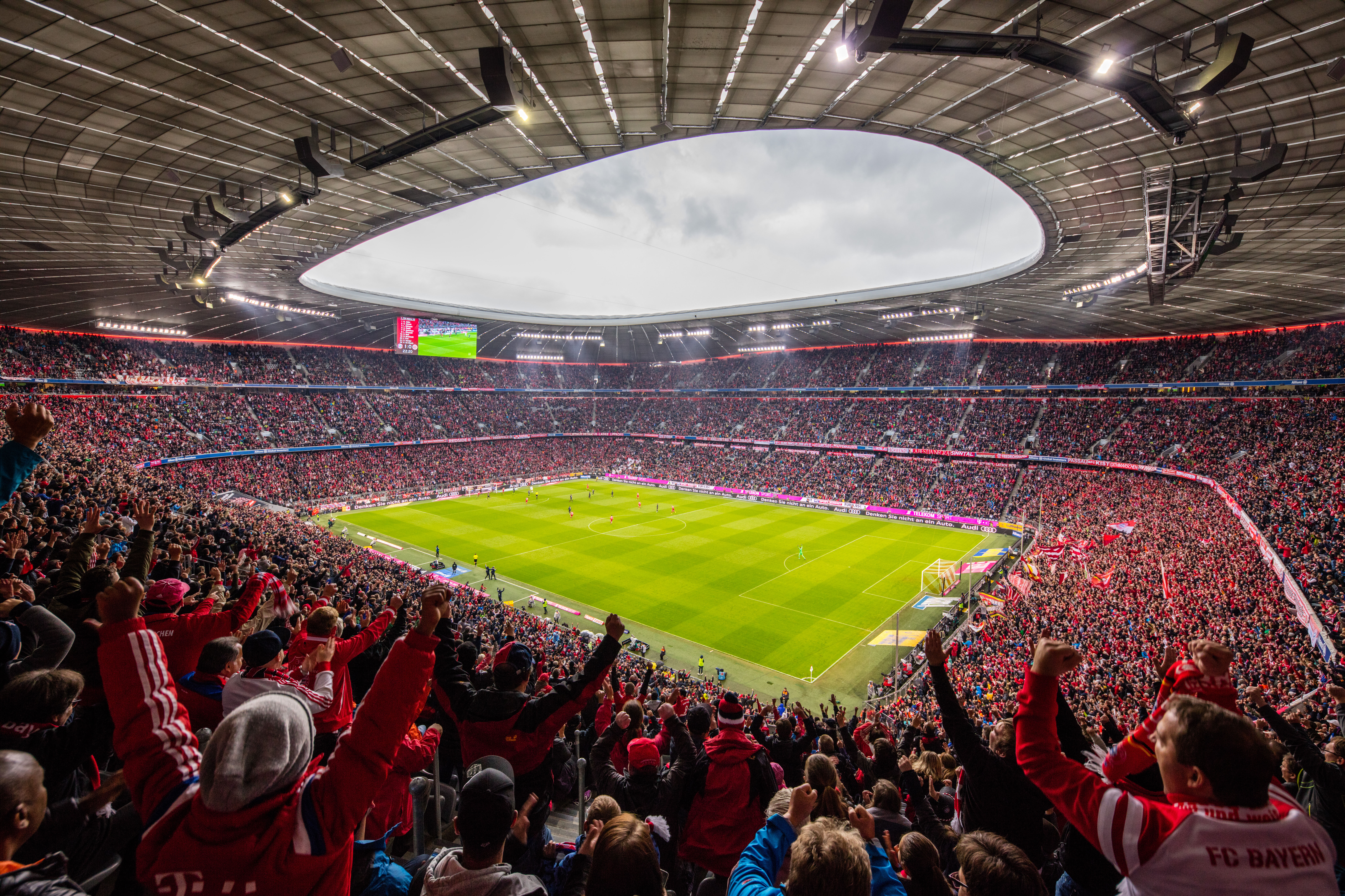 Fans mit Schals im Fußballstadion